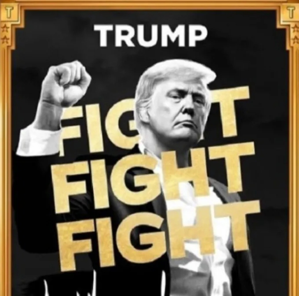 트럼프 밈코인의 역습… 밈은 사라지고, ‘자본 권력’만 남았다