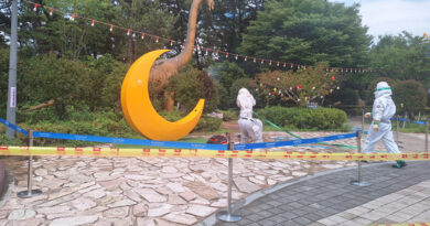 케이블카 타러 갔다 말벌 떼 ‘날벼락…부산 송도서 관광객 15명 쏘여