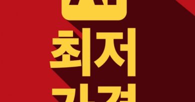 가격 비교 귀찮아서 AI 쓴다…달라지는 온라인 쇼핑 습관